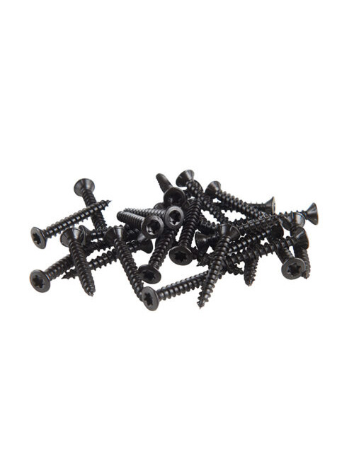 FibroTech-Panelskrue-Sort-2395799-500x500 Panel screws black - Tx. 20